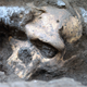Image for article titled The Most Incredible Historical Discoveries of 2013